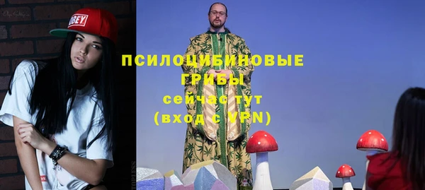 дживик Дмитриев