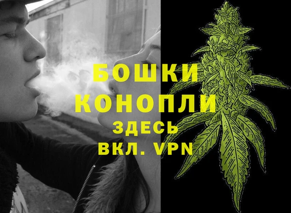 дурь Дмитровск